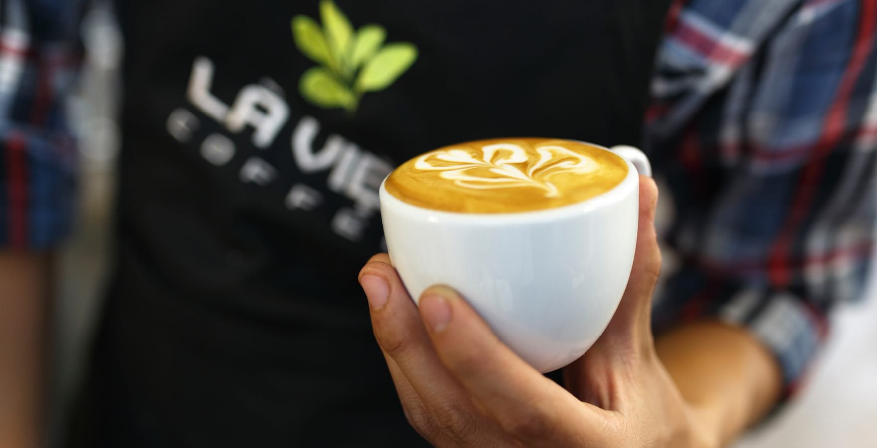 Quiet Reading Space - Darik Coffee shop Ethiopia