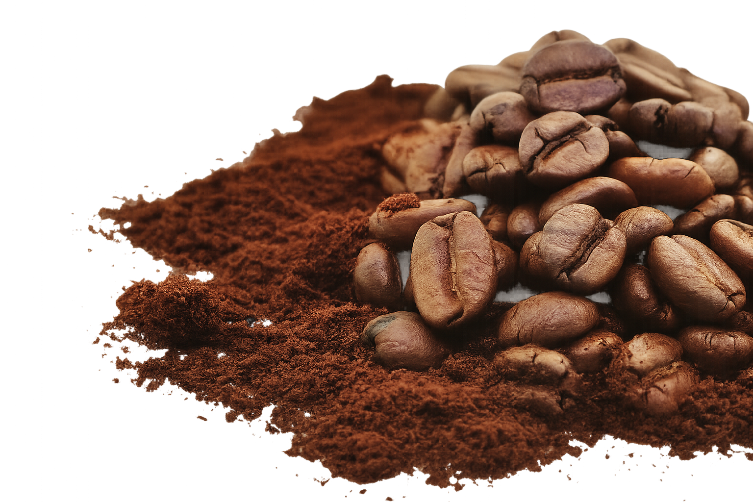 Darik Coffee specialty Ethiopian coffee experience in Addis Ababa